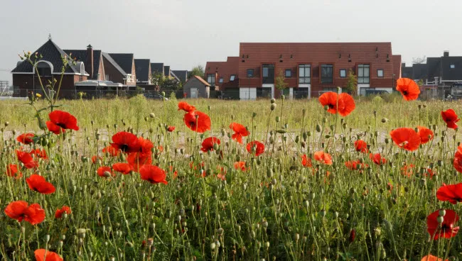 irwpvb8iwpw79qkndtu29zcyn beljaart