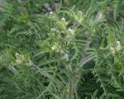 j7aqiverteybd699wnq84v9uh 25715