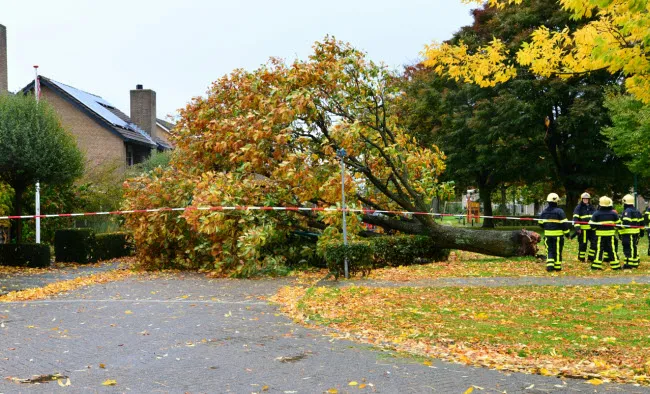 jn072sknbqr8155p0j9iv1hog tromp1