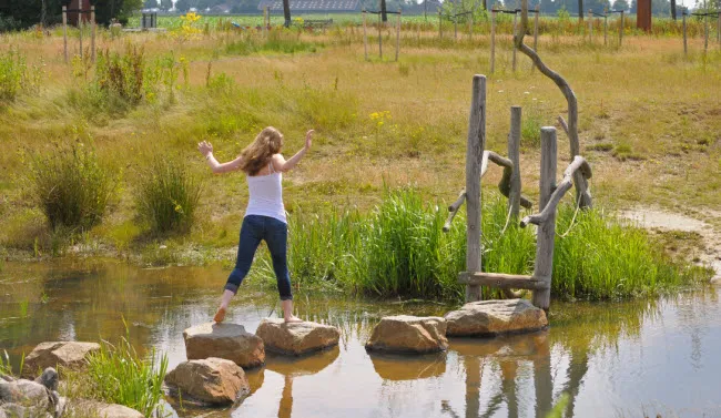 k8j3ohs6egdns8nrzwi8c11rv evz3