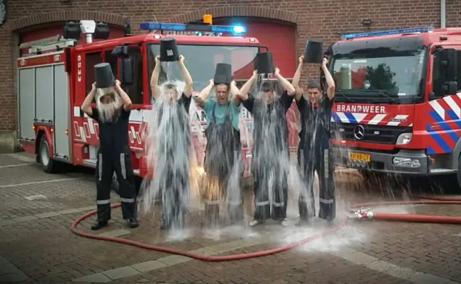 klxcc2ftyrdgnmq1bpt5aq1rv brandweeribc