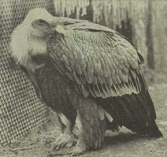 kwdjd2qx3ujxobxohu8ocafqu valegier