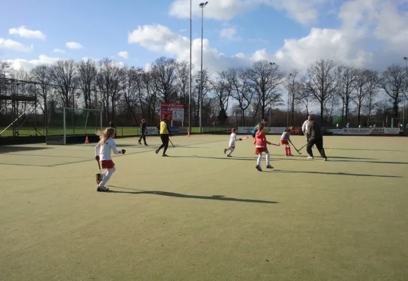 l8y6q0vzwqwe4m7he7ixjhtpp 207970