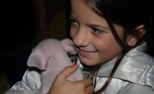 lurwpx0iaig7vxuvl469ylkps vaartsehoeve