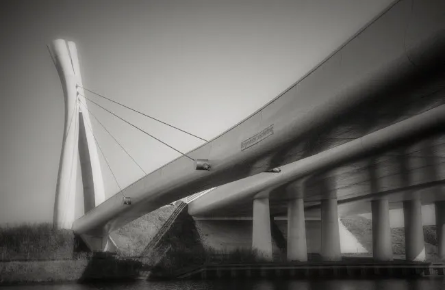 mnql62e3kff8hy1oi9mla5lbx fotoclub1