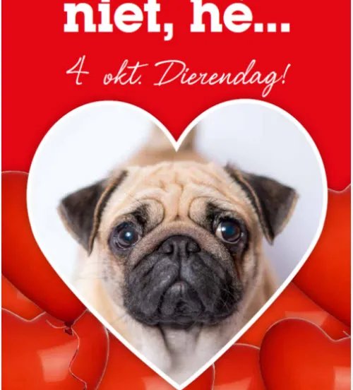 mrlbmsnc6ltcx462qwu9qkl1w advertentieleovanrieldierendag