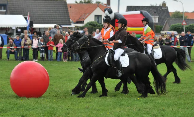 mx2lsjvfbgawbckehhkn40sdr fell11