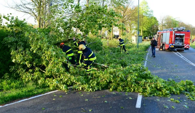 n3uhycgaxknves916wto89uw7 boom1