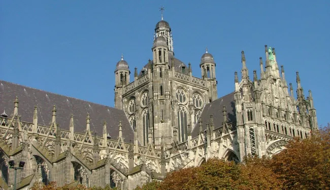 n48vdp085l8x85uxn4ox489ry sintjan