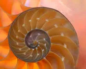 n72ot4goexbs6n5r1zjcdk9c0 112273