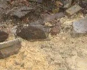 nl3e7yxulfcfivnhei33urz9c 54624