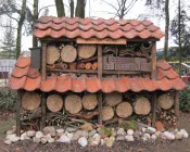 ntfa7191di66avna8brsrtq5v 219008