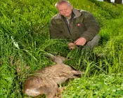 nti81x6ylvtde0vg6idfbcoa9 137166