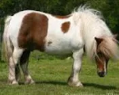 ohroi41tayto7wf2vpvkdnatv 157479