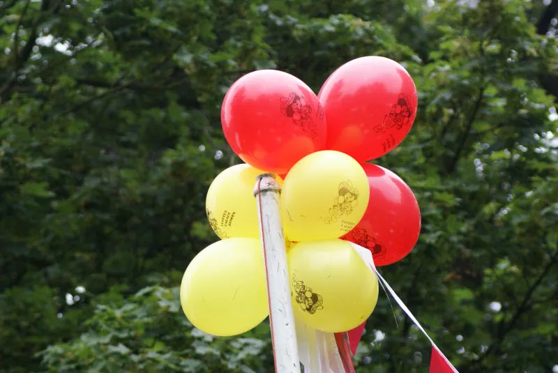 omnkpfizh9e8qw7vevgx0vi7t 71049