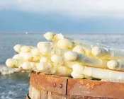 oqyf95rg3q0xwq8eiyxr02dfk 231238