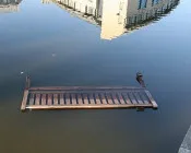 owwt2tpuewmsn5whl5fz7vje1 92401