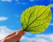 p2gvjayzmx79oai6fx97kbjp6 9305