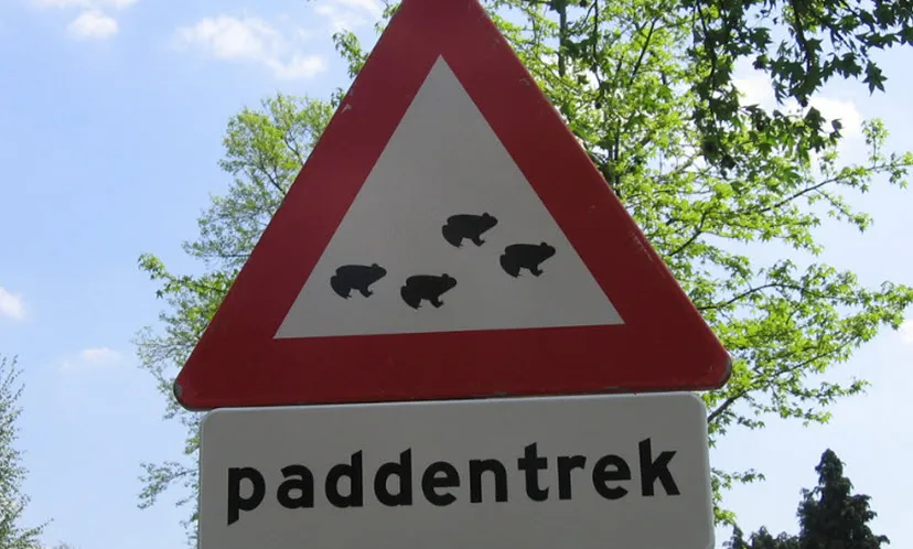 paddentrek