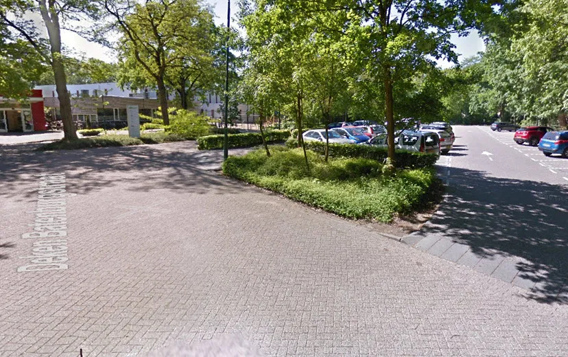 parkerendevennen
