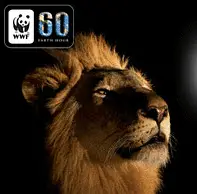 pfkcl4vppj6qpo68818pwc1qt 52934