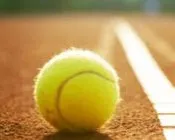 pn7uobiznx3ga2ywbee6f54hj 24953