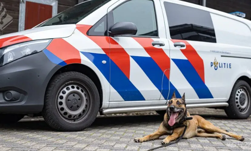 politie hond