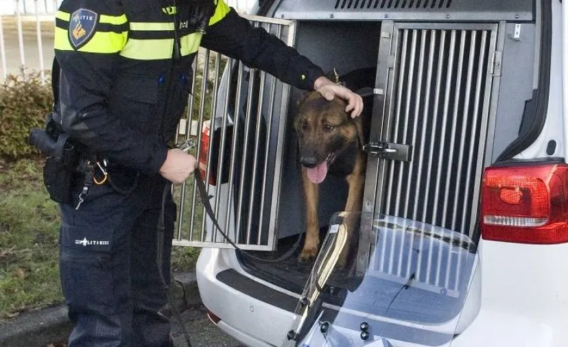 politiehond