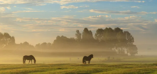 pz0l3yhqd6iwaeiiey6uq984i nazomerweer1 e1410345047444 640x300