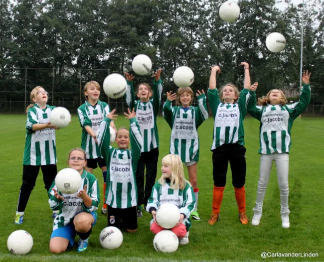 pzccuki4fqtt9gqe1z6ijihzj dvvc0310