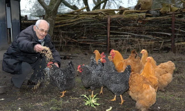 q9muqxxmxr6uda0cr3pn7eow6 ora