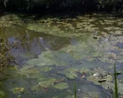 qick88itzhvqjs3mxc43eo4z7 166508