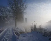 qoi31dpmwcbparoib2g7xgp5q 200706