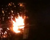 qqm8dm7oskrgzlvmh3guti21a 17243