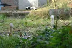 r0z9xcruy5p5p4xgzhen1w6ig 71363