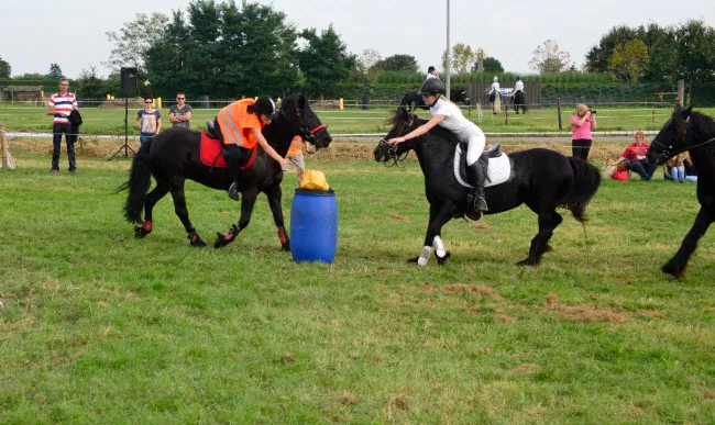 r81en9xs1he6ini3eg9su2mkh fp1