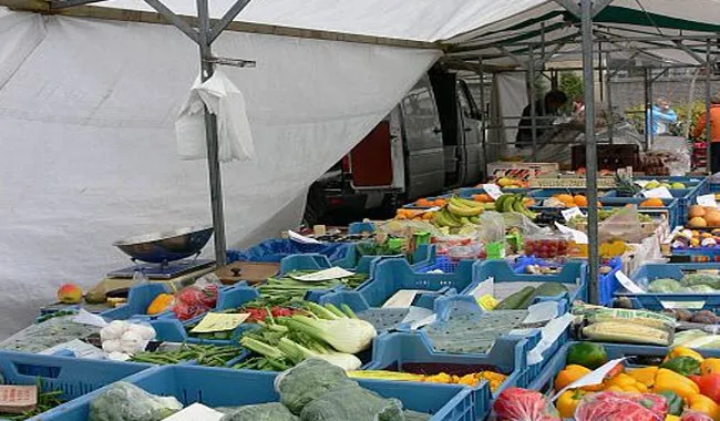 rldyeq0ivx7i7zz8ve2a5fj8d markt