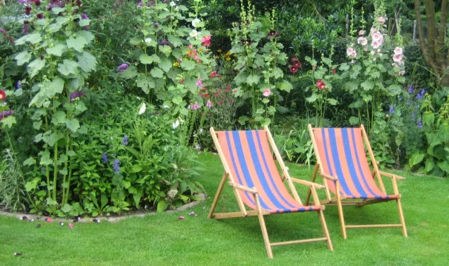 rtgl55axzx7srsbogr199frh6 vaartsehof