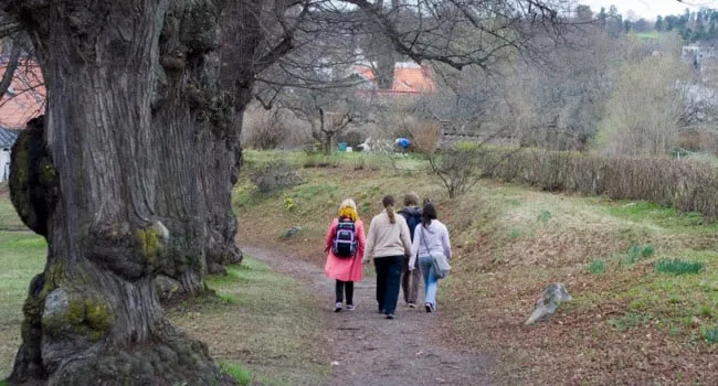 s64rgj3hstyhuk32jvwhdln90 wandeling