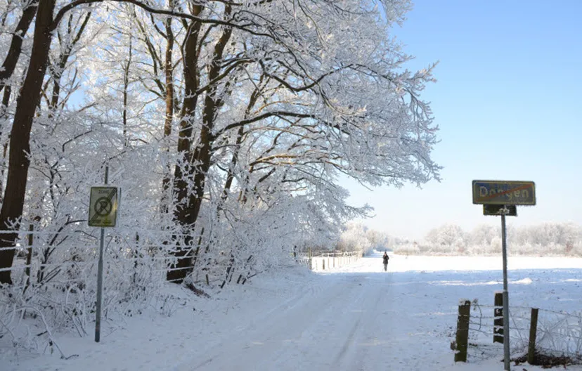 sneeuwdongen