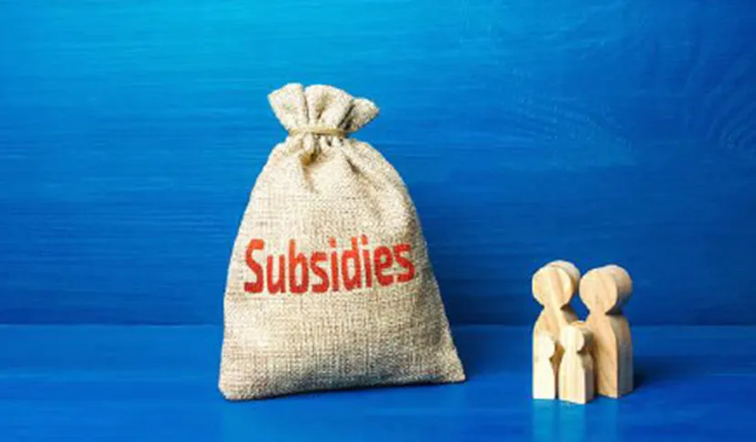 subsidies