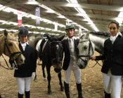 sule8yd7z994q97a1021th44h 184041