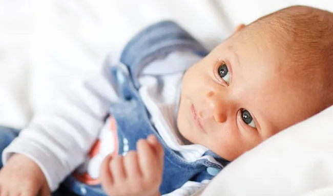 tjp6mg97q05ey6mx3t4q7qv5z baby