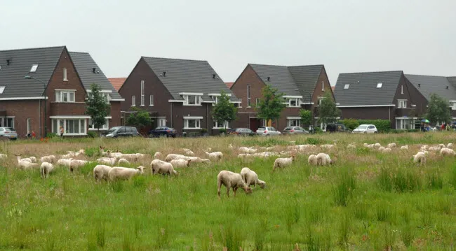 u8a7emz8hkx492z87k6vwsgpt beljaart1