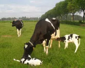 uyjh09k7xkuafdr4s2qxocozq 167589