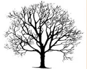 vgifk45mdt6els5l3t0pxblqa 68645