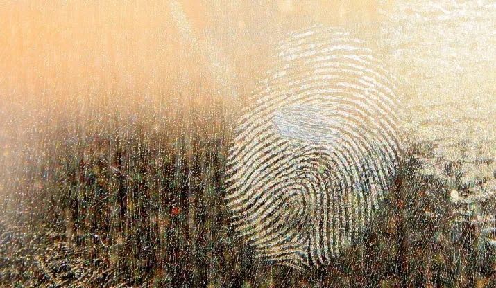 vingerafdruk