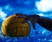 vmb0wwoxkwtip0omm8zip9rfm 56628