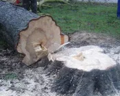 vqjn5run59ankht49g1ked9ep 20893