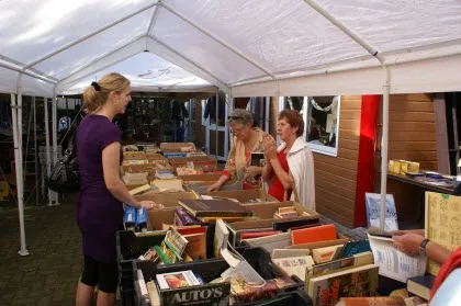 vxqmogcp57i99vtg9arwqep2b rommelmarktstormvogels 2